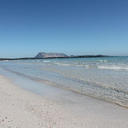 Villetta Con Giardino A Budoni Εξωτερικό φωτογραφία