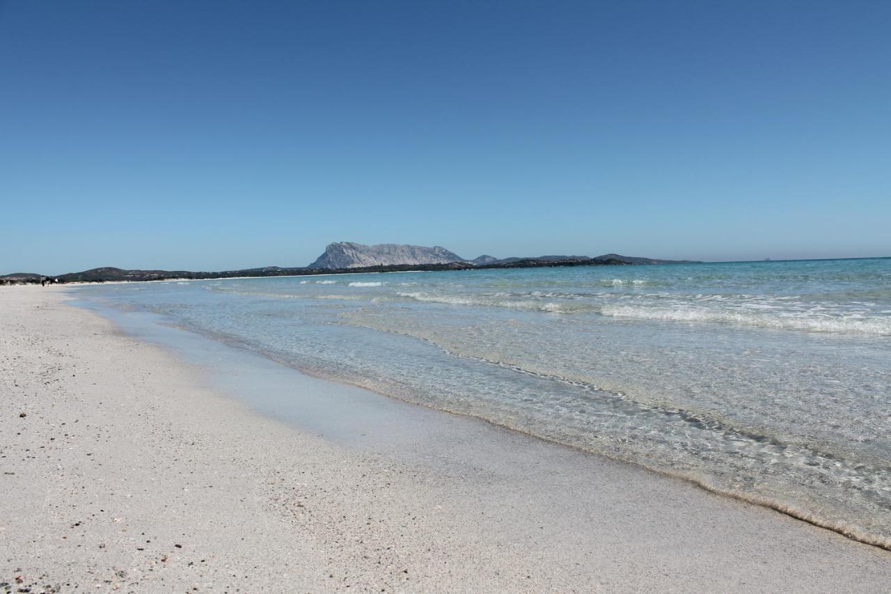 Villetta Con Giardino A Budoni Εξωτερικό φωτογραφία