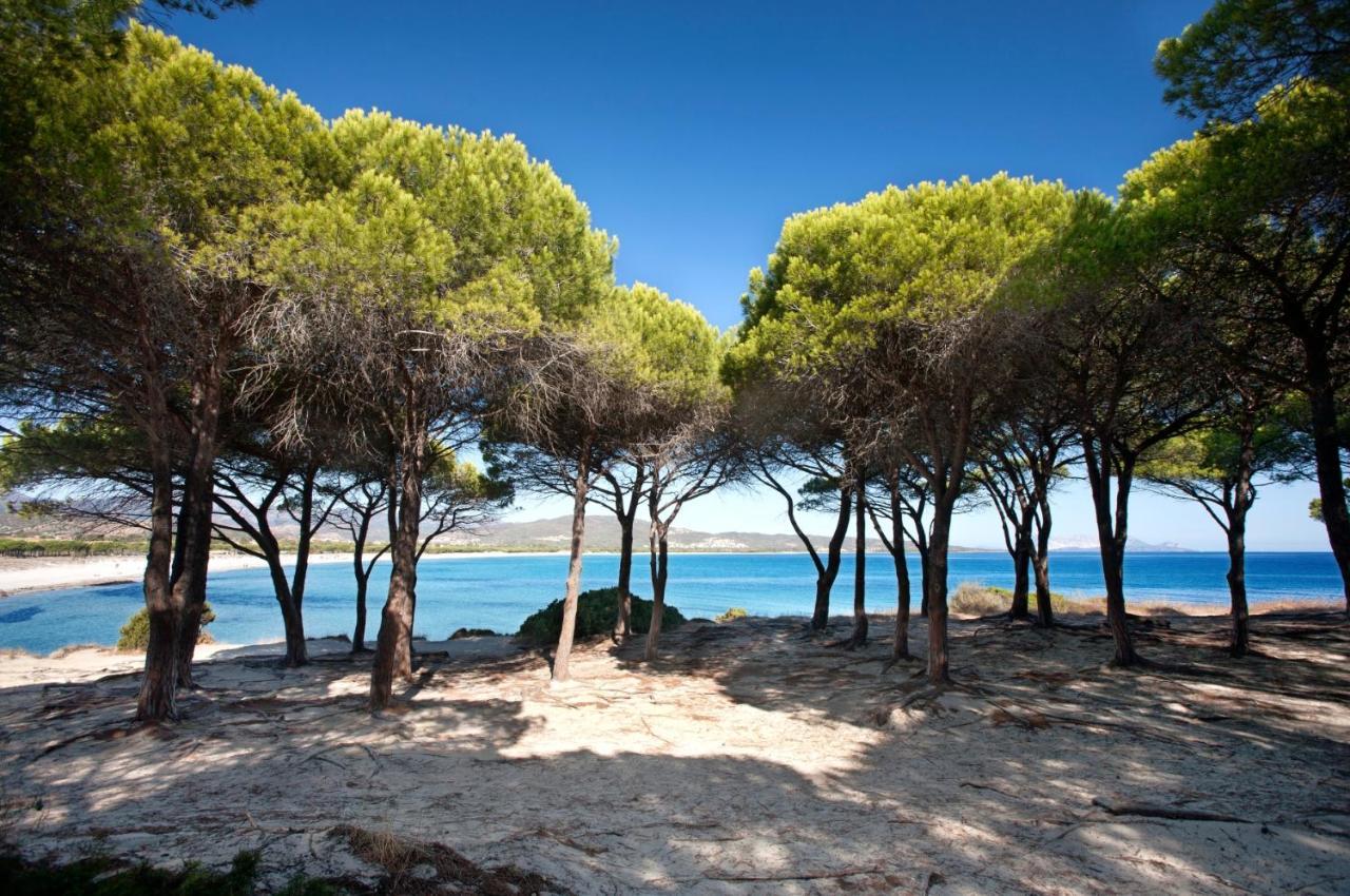 Villetta Con Giardino A Budoni Εξωτερικό φωτογραφία